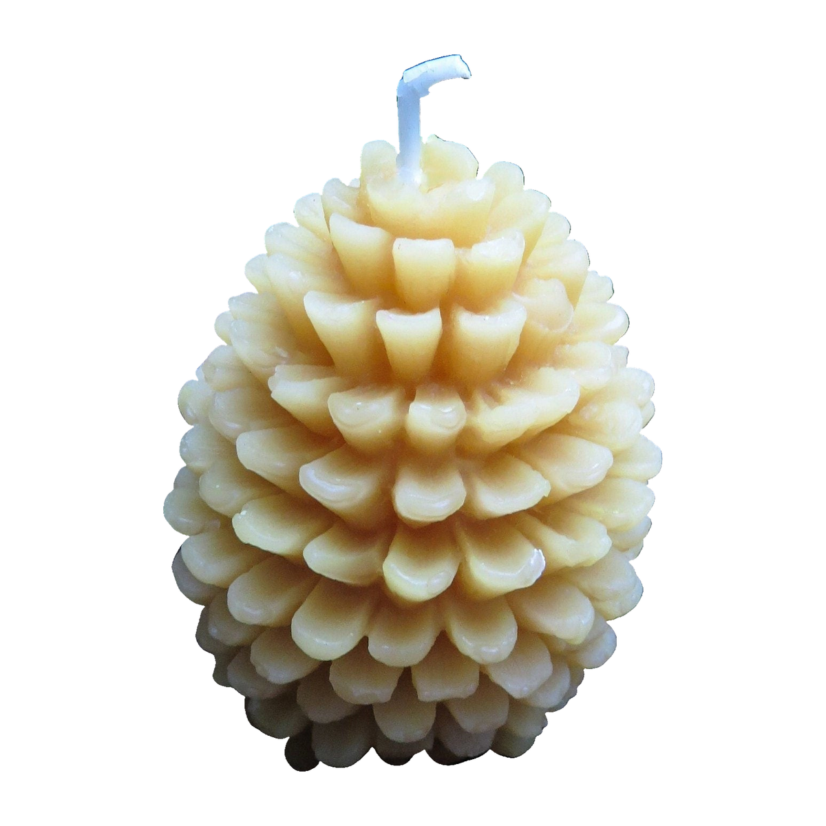Pinecone Beeswax Candles Bulk on a pure white background, original product photograph