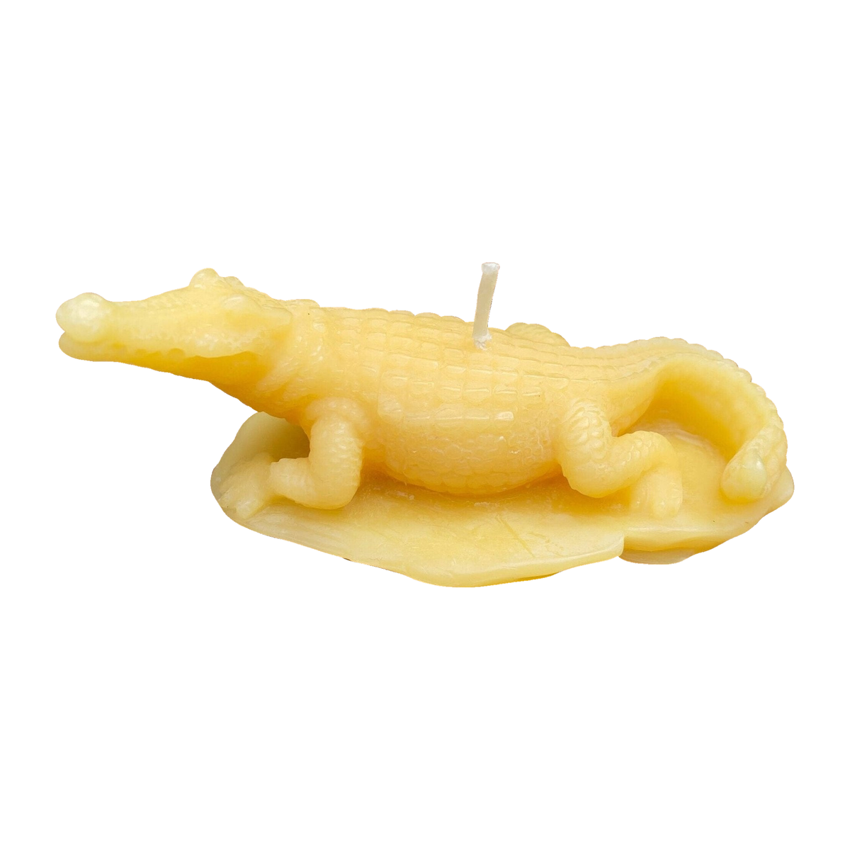 Crocodile Beeswax Candle on a white background.