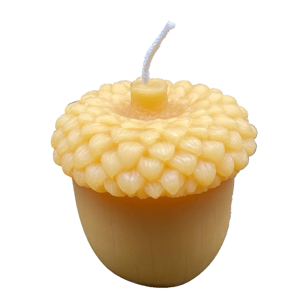 Giant acorn beeswax candle with original sculpted cap and wick on a pure white background.