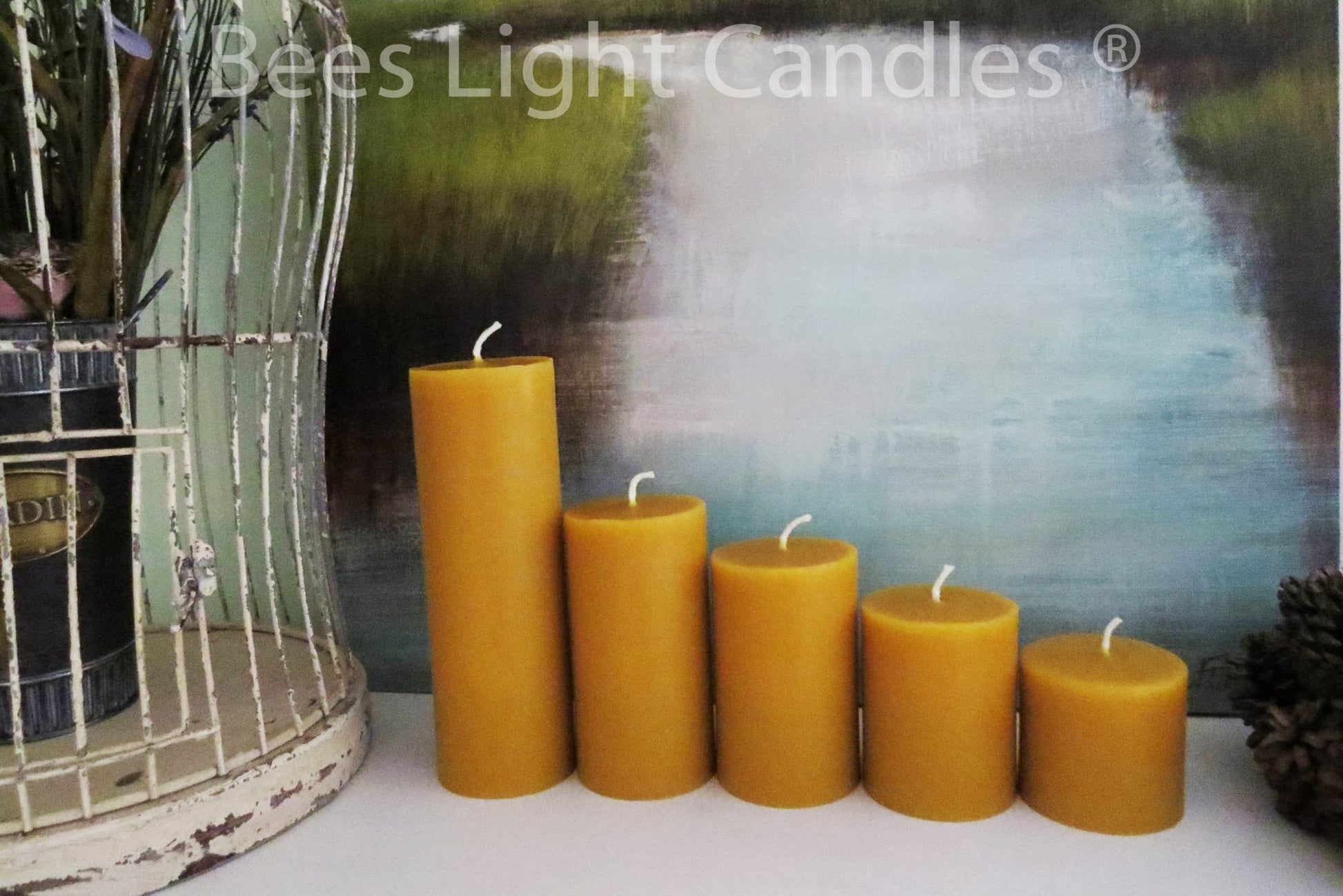 Beeswax Pillar Candles | Handcrafted with 100% Pure Natural Beeswax | 5 Sizes | Honey Aroma | Large Cylinder | Wedding Event | Party | Gift - Bees Light Candles