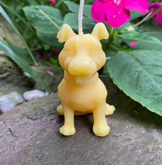 Cartoon Dog Beeswax Candle