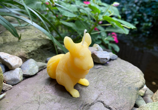 Chinchilla Beeswax Candle | Bees Wax Candles | Animal Collection | Rodent | USA Handmade | 100% All Natural | Clean Burn Honey Aroma | Gift - Bees Light Candles