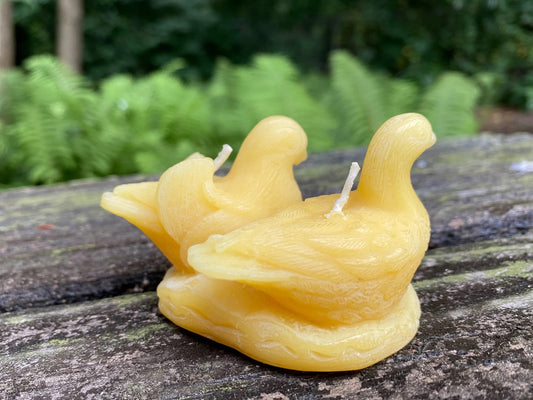 Doves Beeswax Candle