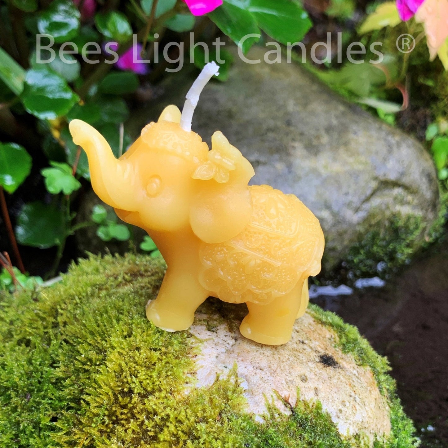 Elephant Beeswax Candle | African Elephants | Forest Animal | Beautiful Creatures | Mammal | Trunk | Disney Dumbo | Rainforest Wild Animals - Bees Light Candles