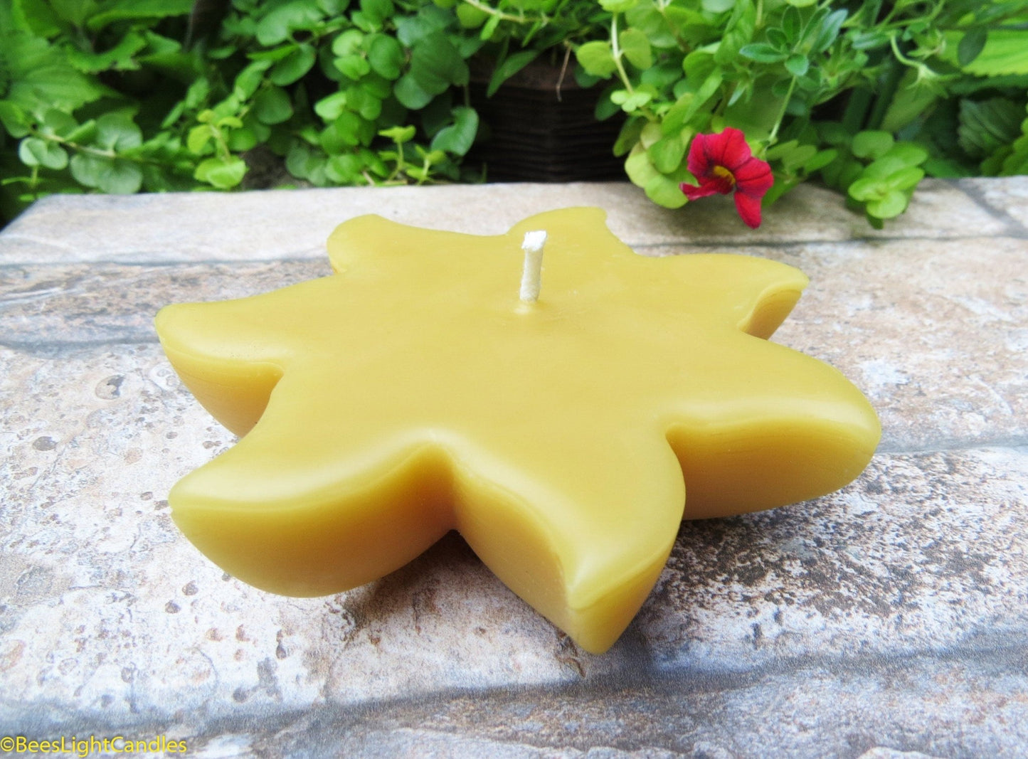 Floating Sun Beeswax Candle | 100% All Natural | Sun Wheel | Party Event | Floats in Water | Handmade | Summer | Pond | Bird Bath | Pool - Bees Light Candles
