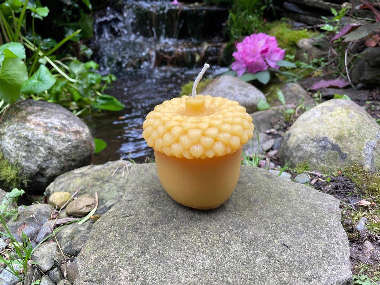 Giant Acorn Beeswax Candle | Oak Tree Jumbo Nut 100% Bees Wax Pure and Clean Burning | Fall Festive |Thanksgiving | Big Tree Seed | Large - Bees Light Candles