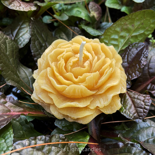 Peony Flower Beeswax Candle