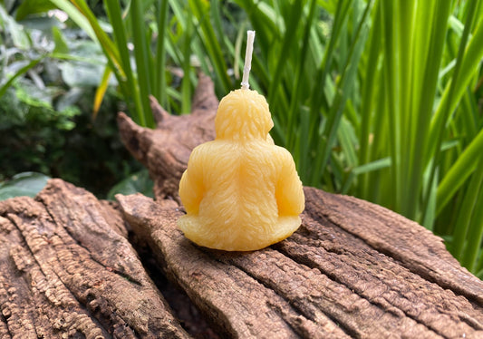 Orangutan Beeswax Candle