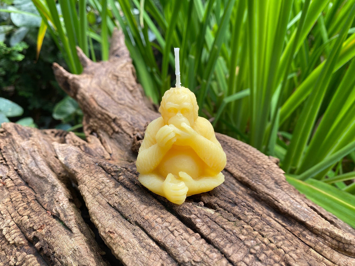 Orangutan Beeswax Candle 100 All Natural Bee Wax Candles Monkey