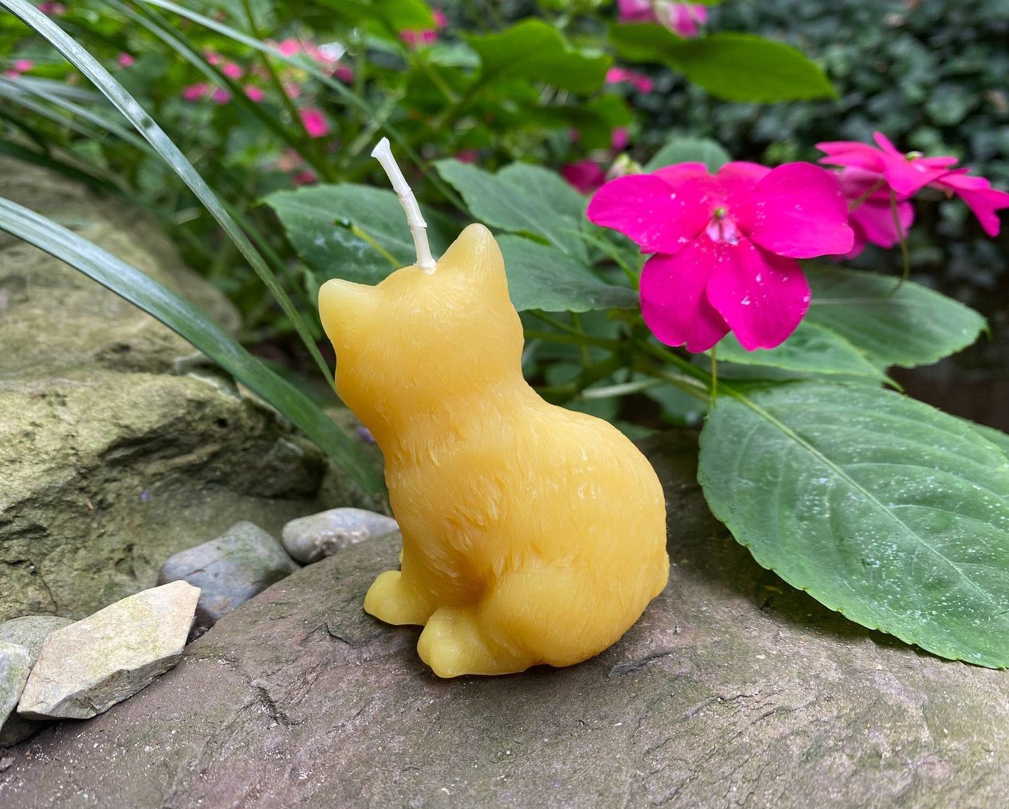 Kitten Beeswax Candle | Kitty | Cats | Ornamental | Unique | Decorative | Animal Collection | USA Handmade | Bees Wax Candles | Clean Burn - Bees Light Candles