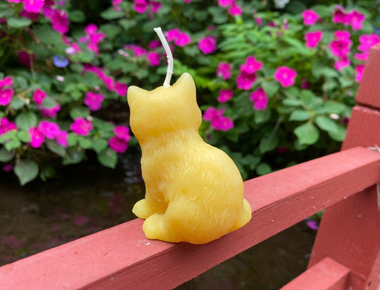 Kitten Beeswax Candle | Kitty | Cats | Ornamental | Unique | Decorative | Animal Collection | USA Handmade | Bees Wax Candles | Clean Burn - Bees Light Candles
