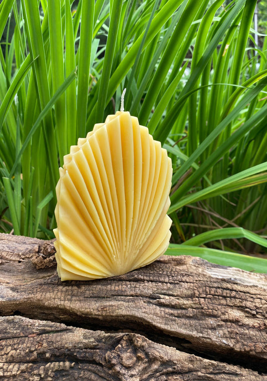 Shell Design Beeswax Candle