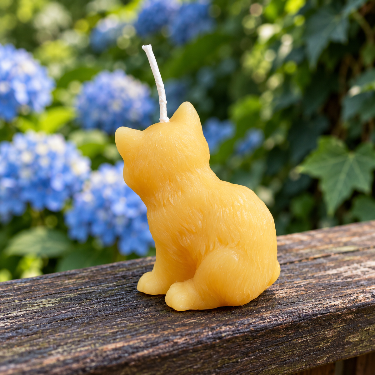 Kitten and Puppy Buddies Beeswax Candle Set