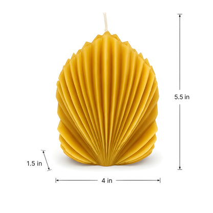 Architectural Seashell Design Beeswax Candle