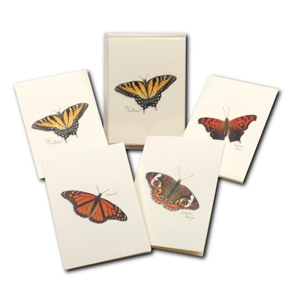 Butterfly Assortment Greeting Cards