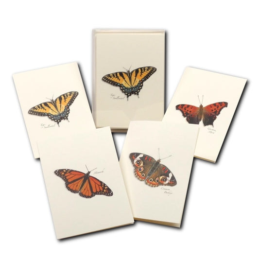 Butterfly Assortment Greeting Cards