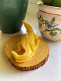 Crocodile Beeswax Candle - Bees Light Candles