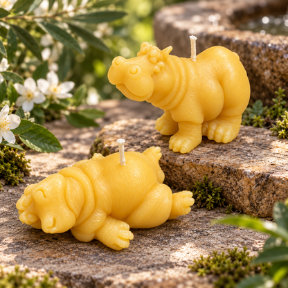 Hippo Buddies Beeswax Candles