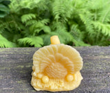 Turkey Beeswax Candle - Bees Light Candles