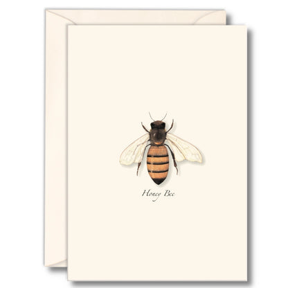 Honey Bee Greeting Card