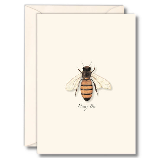 Honey Bee Greeting Card