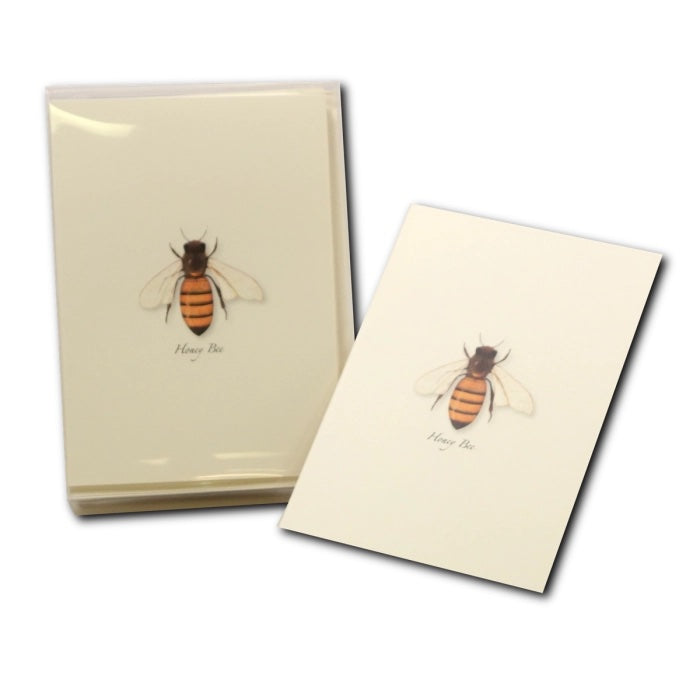Honey Bee Greeting Card
