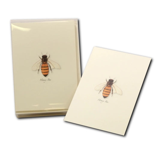 Honey Bee Greeting Card