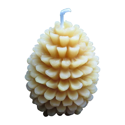 Pinecone Beeswax Candles Bulk on a pure white background, original product photograph