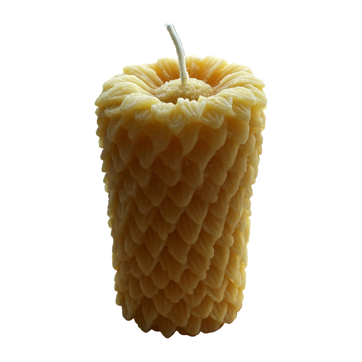 Sunflower Beeswax Pillar Candles on a pure white background, original product photograph