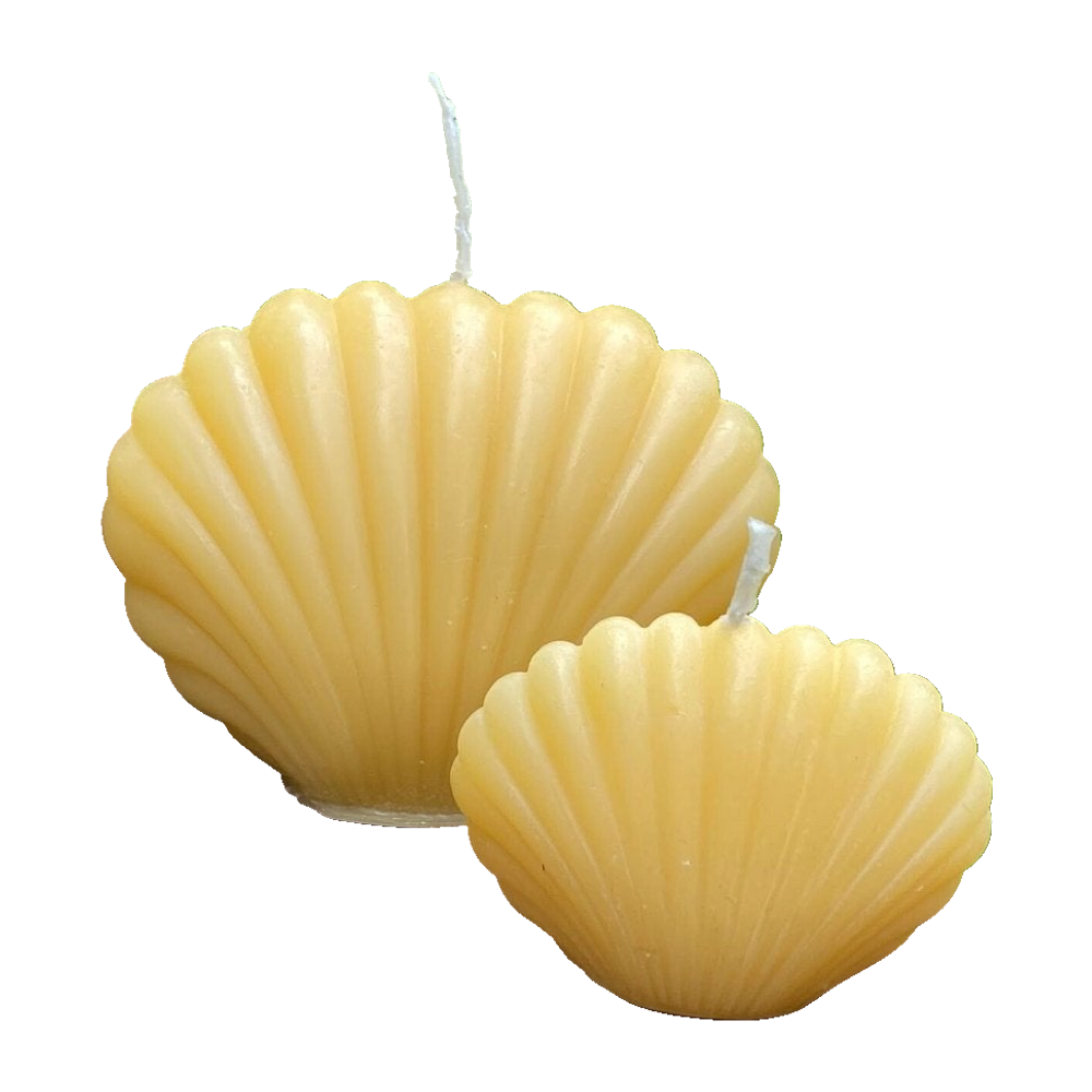 Clam Shell Beeswax Candle Set on a white background