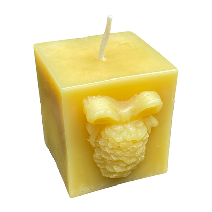 Pinecone Square Gift Beeswax Candle on pure white background. Default Pinecone Square Gift; exact square perspective corners, raised bow/pinecone relief and full original wick.