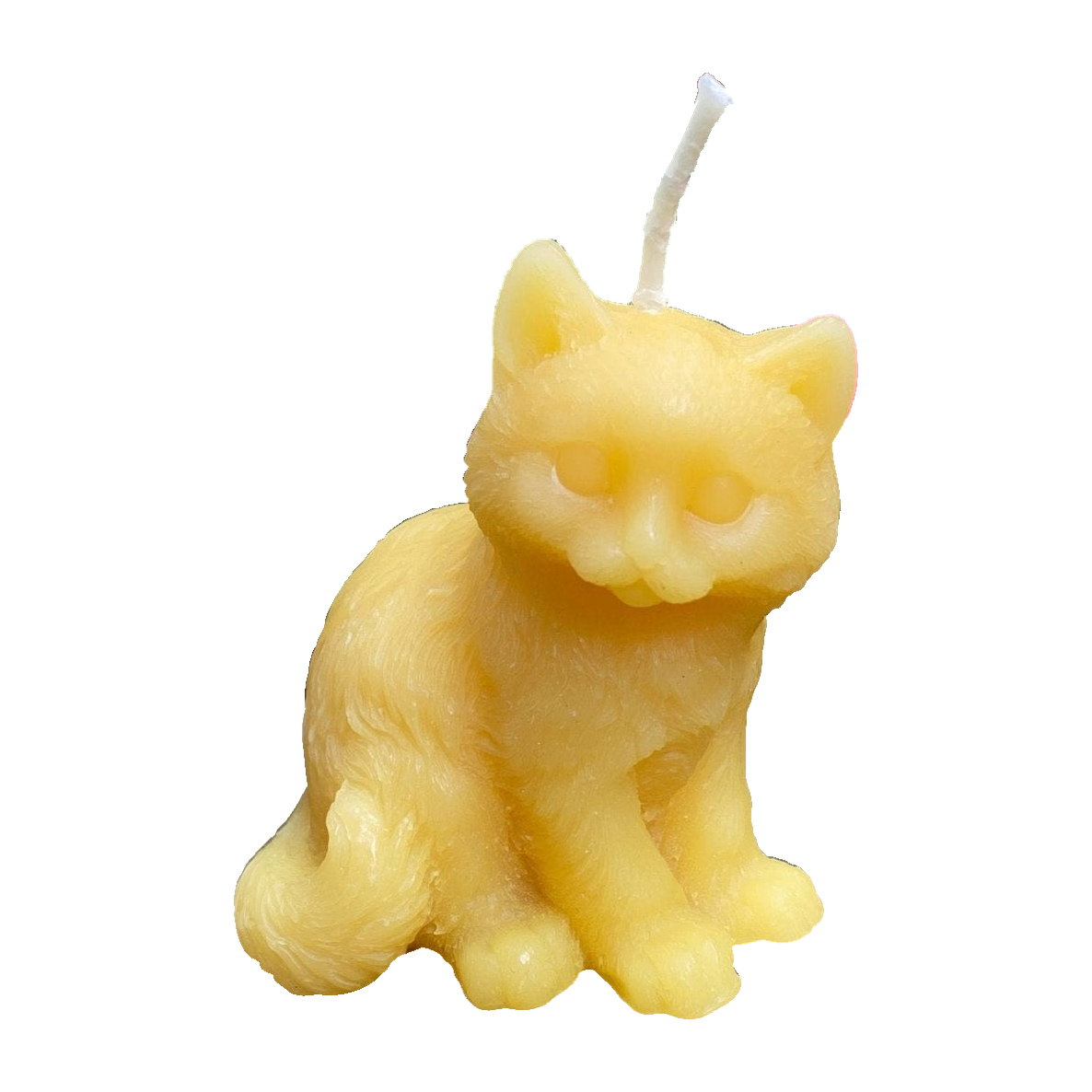 Kitten beeswax candle on a white background.