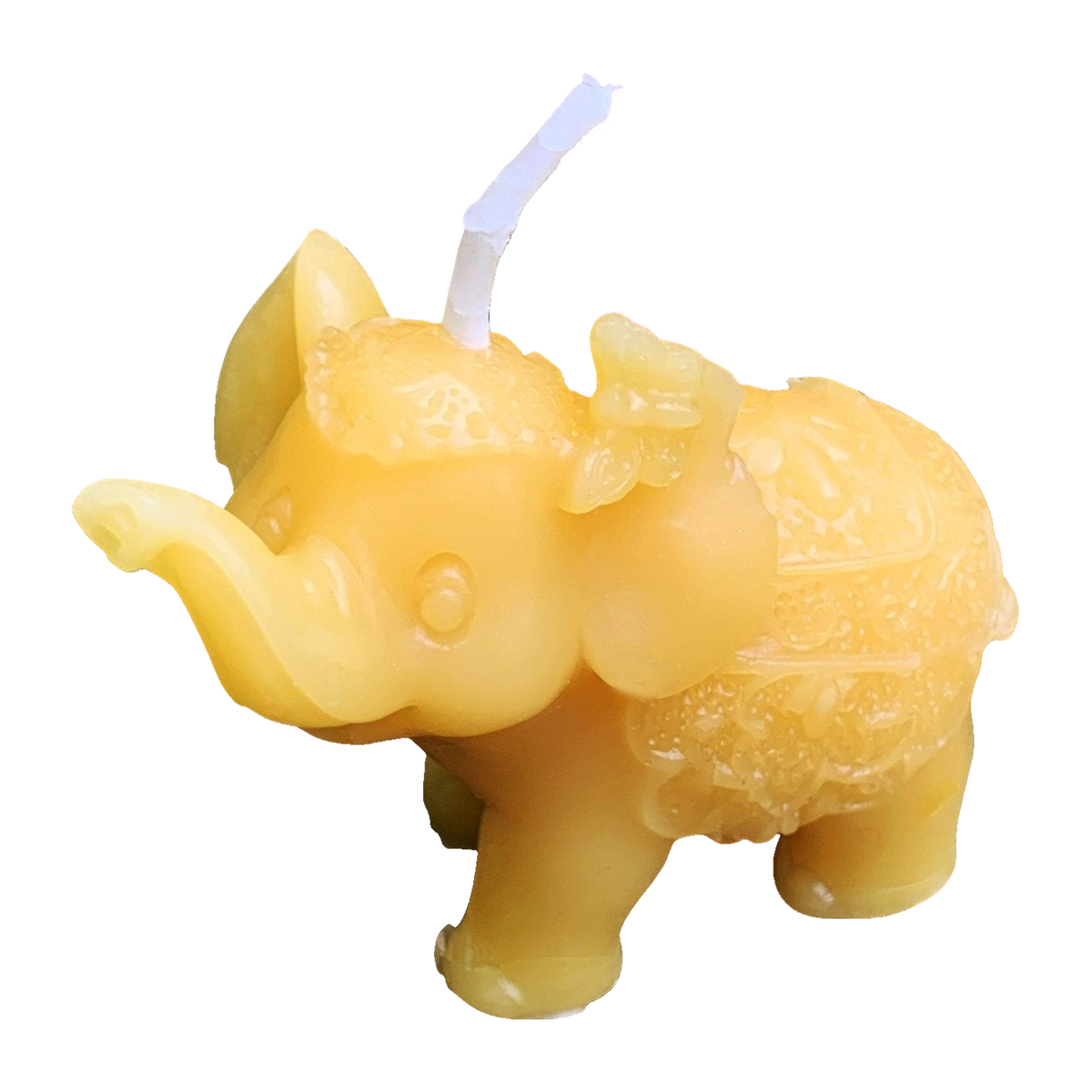 African elephant beeswax candle with full wick and detailed relief on white background