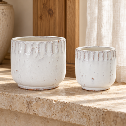 Distressed Terra Cotta Planter (Set of 2) in a styled home setting