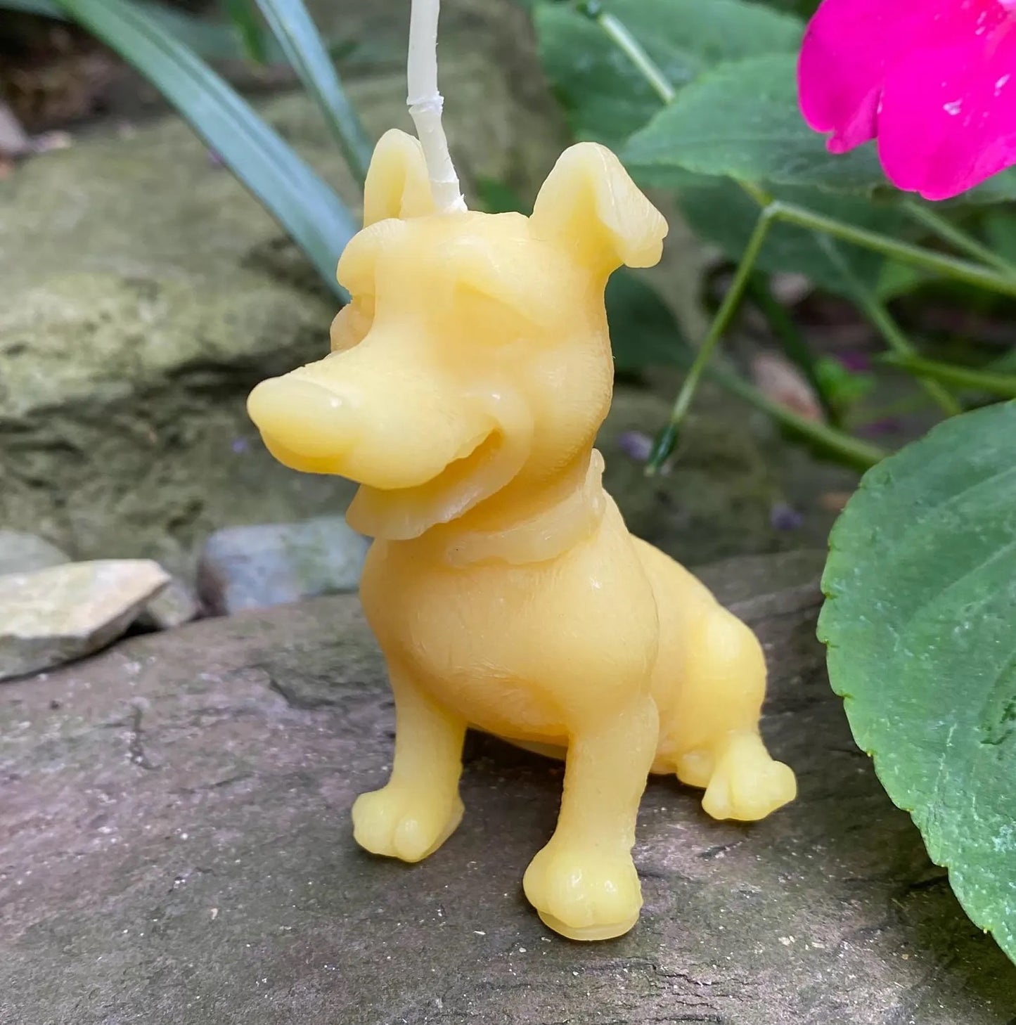 Cartoon Dog Beeswax Candle