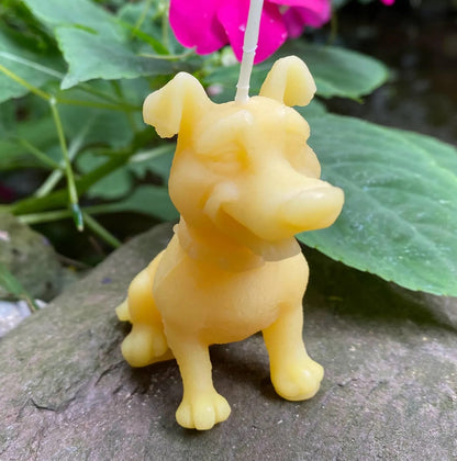 Cartoon Dog Beeswax Candle