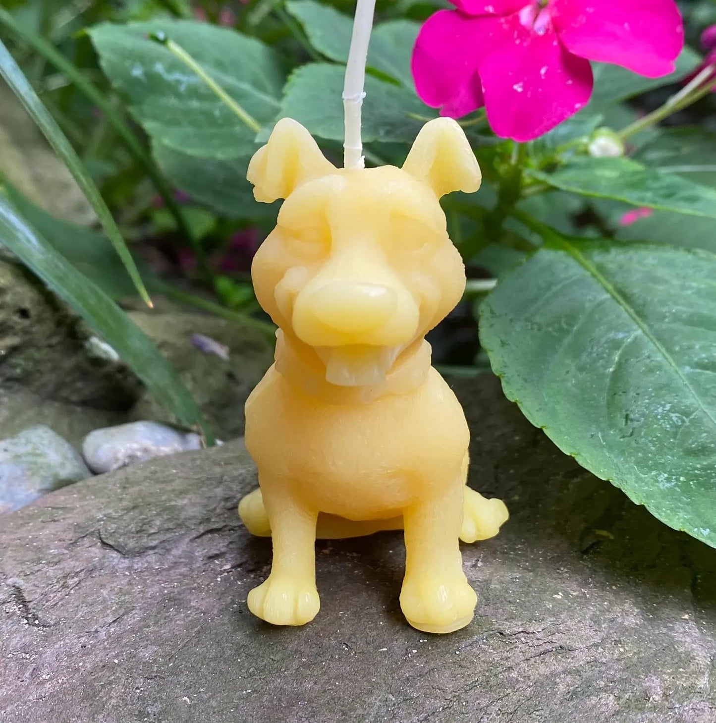 Cartoon Dog Beeswax Candle