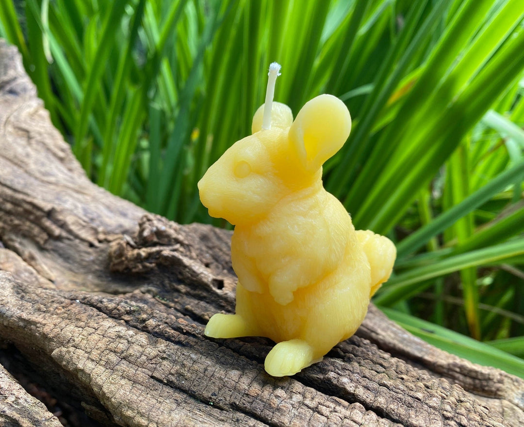 Chinchilla Beeswax Candle | Bees Wax Candles | Animal Collection | Rodent | USA Handmade | 100% All Natural | Clean Burn Honey Aroma | Gift - Bees Light Candles