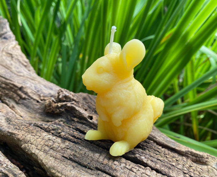 Chinchilla Beeswax Candle | Bees Wax Candles | Animal Collection | Rodent | USA Handmade | 100% All Natural | Clean Burn Honey Aroma | Gift - Bees Light Candles
