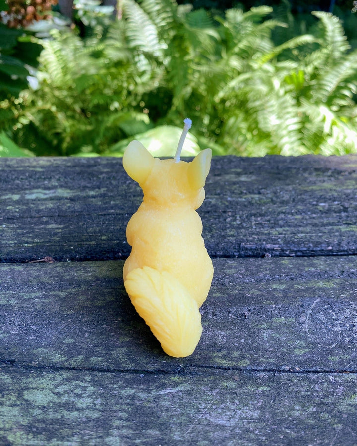 Chinchilla Beeswax Candle | Bees Wax Candles | Animal Collection | Rodent | USA Handmade | 100% All Natural | Clean Burn Honey Aroma | Gift - Bees Light Candles