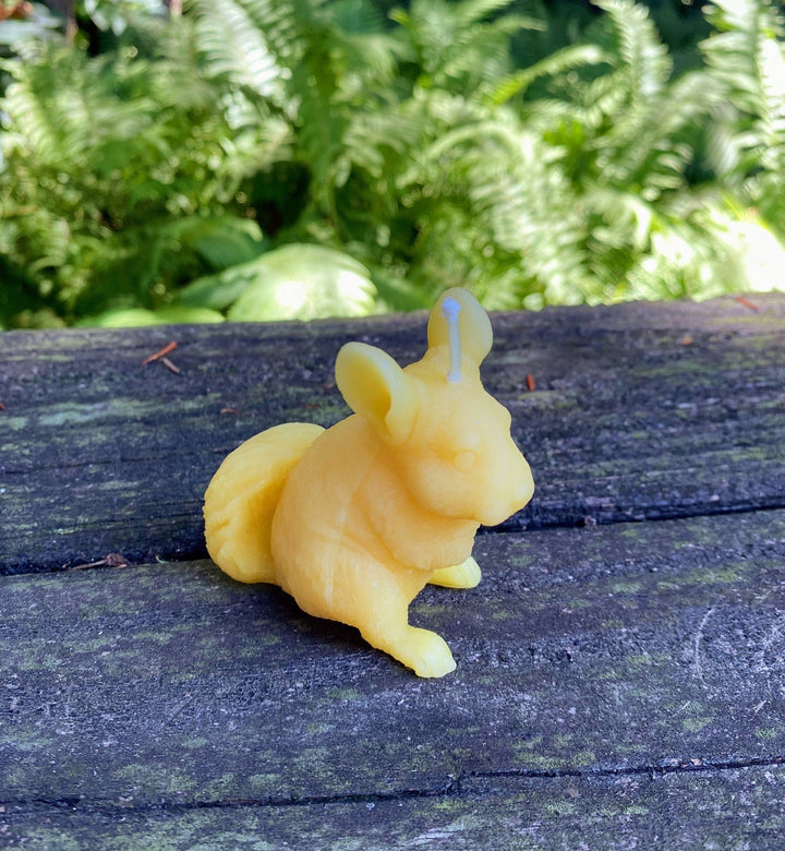 Chinchilla Beeswax Candle | Bees Wax Candles | Animal Collection | Rodent | USA Handmade | 100% All Natural | Clean Burn Honey Aroma | Gift - Bees Light Candles