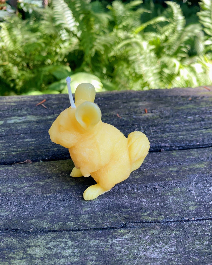 Chinchilla Beeswax Candle | Bees Wax Candles | Animal Collection | Rodent | USA Handmade | 100% All Natural | Clean Burn Honey Aroma | Gift - Bees Light Candles