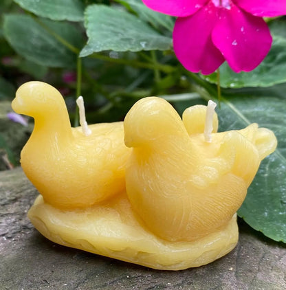 Doves Beeswax Candle