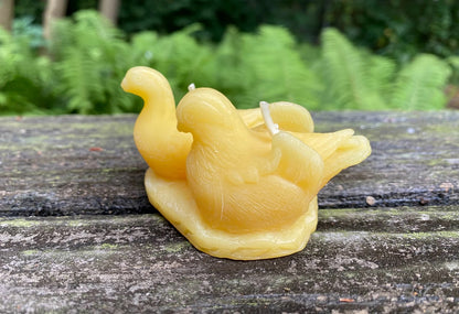 Doves Beeswax Candle