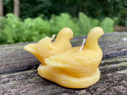 Doves Beeswax Candle