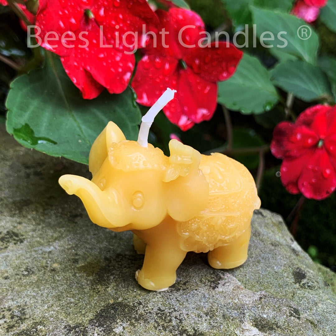 Elephant Beeswax Candle | African Elephants | Forest Animal | Beautiful Creatures | Mammal | Trunk | Disney Dumbo | Rainforest Wild Animals - Bees Light Candles