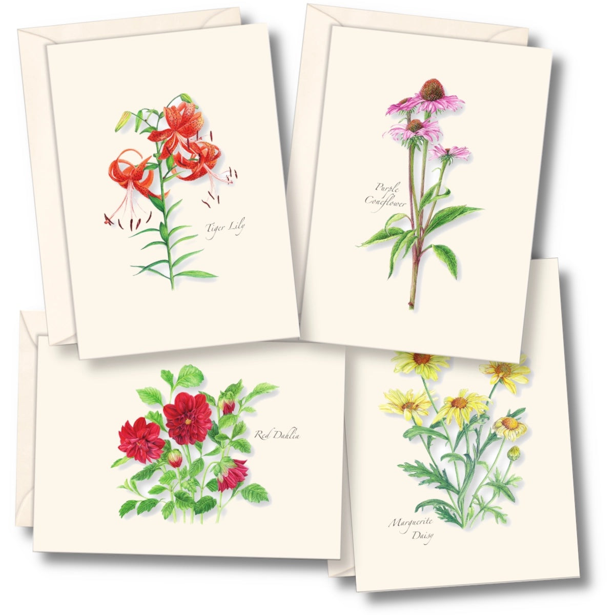 Garden Favorites Assortment Greeting Cards