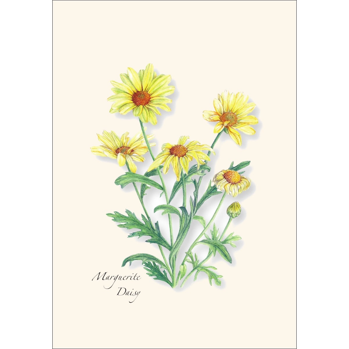 Garden Favorites Assortment Greeting Cards