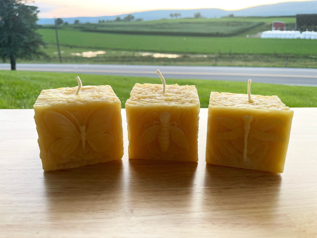Pollinator Pillar Beeswax Candle Collection