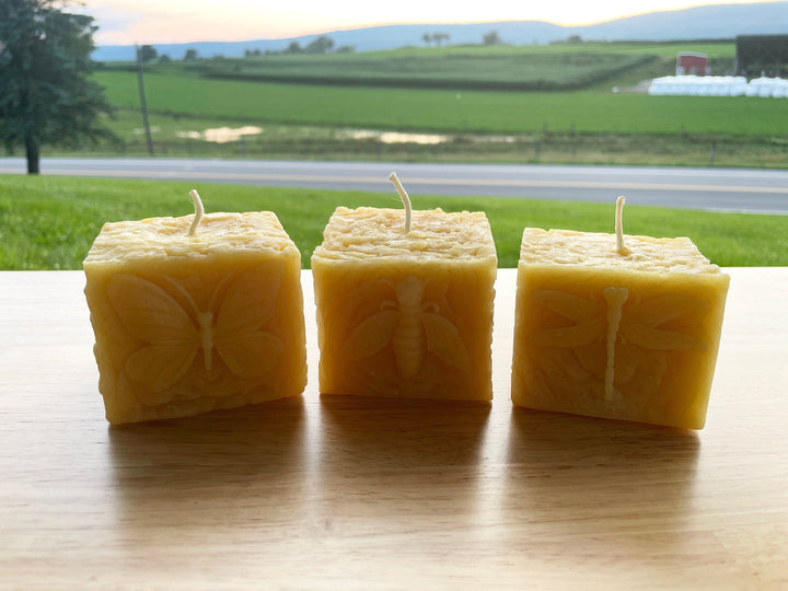 Pollinator Pillar Beeswax Candle Collection